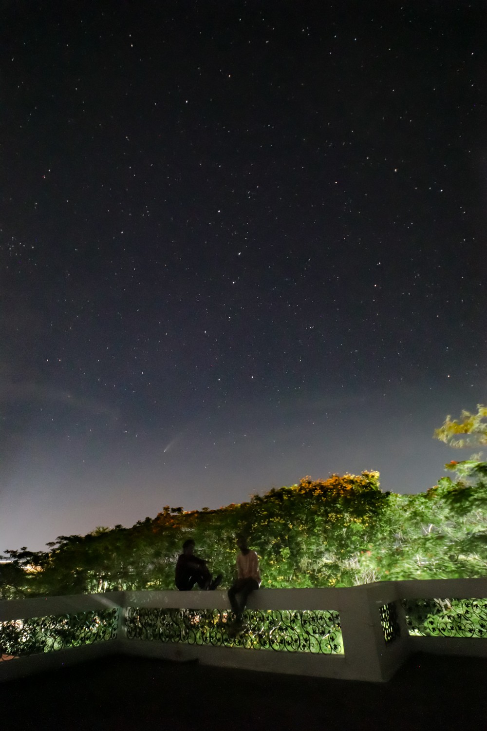 Comet NEOWISE Image 2