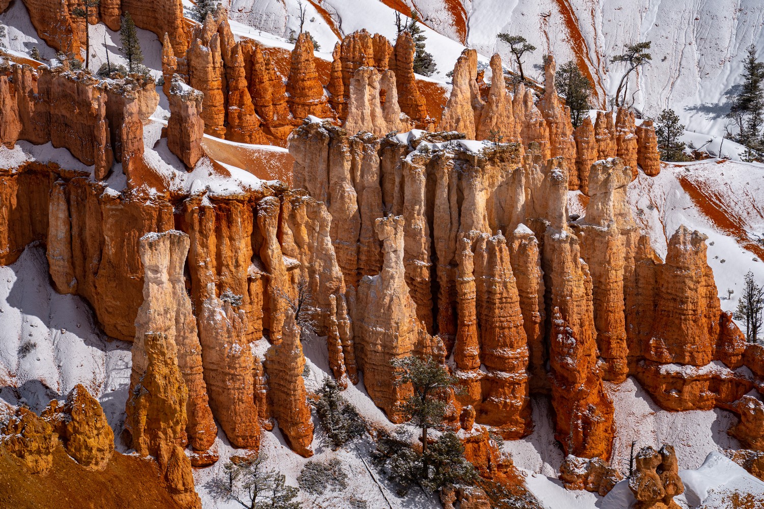 Bryce Canyon National Park (1)
