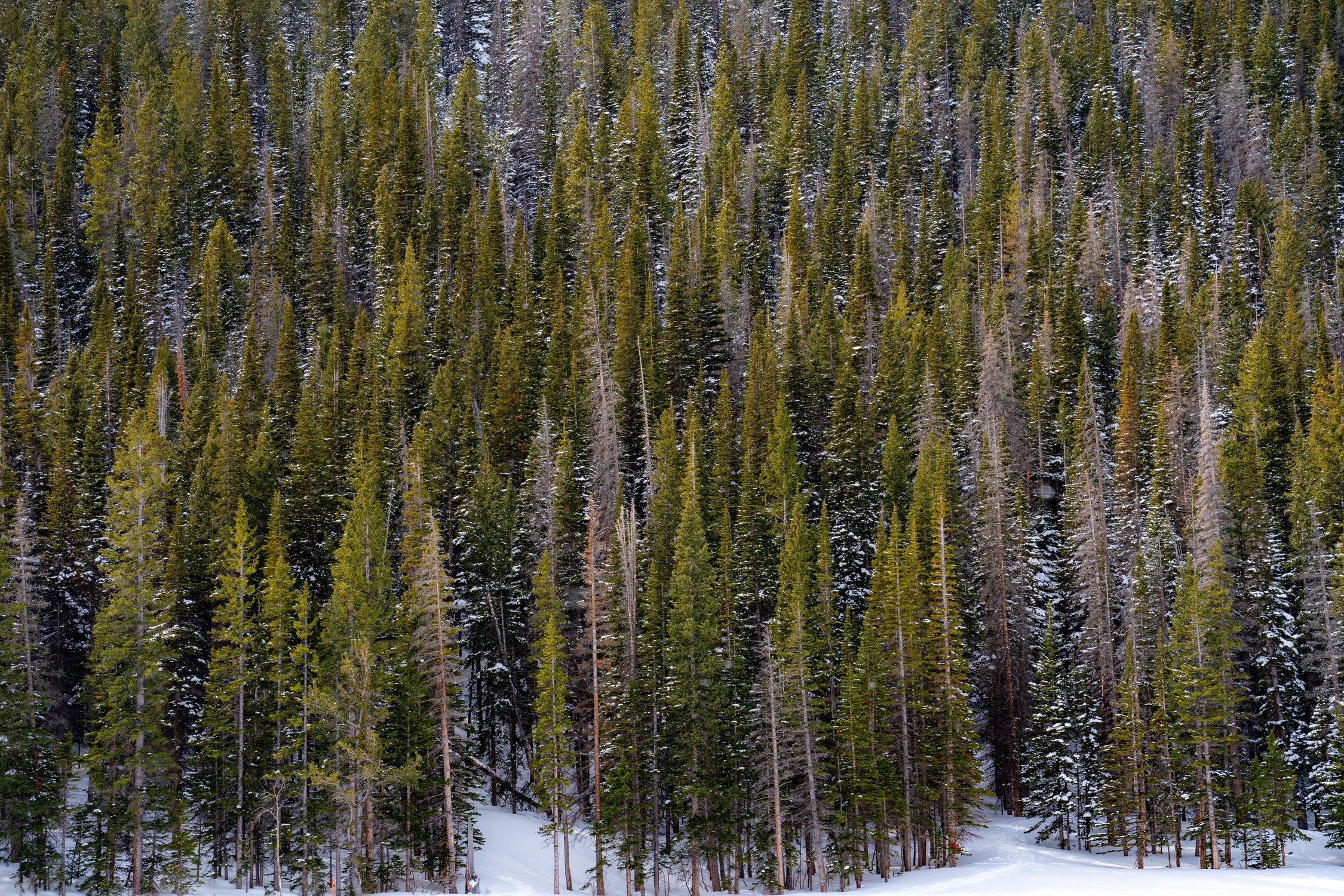 Rocky Mountain National Park (2)